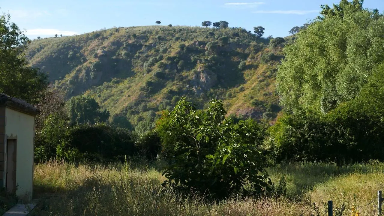 Los Palmeros Algodonales Spain