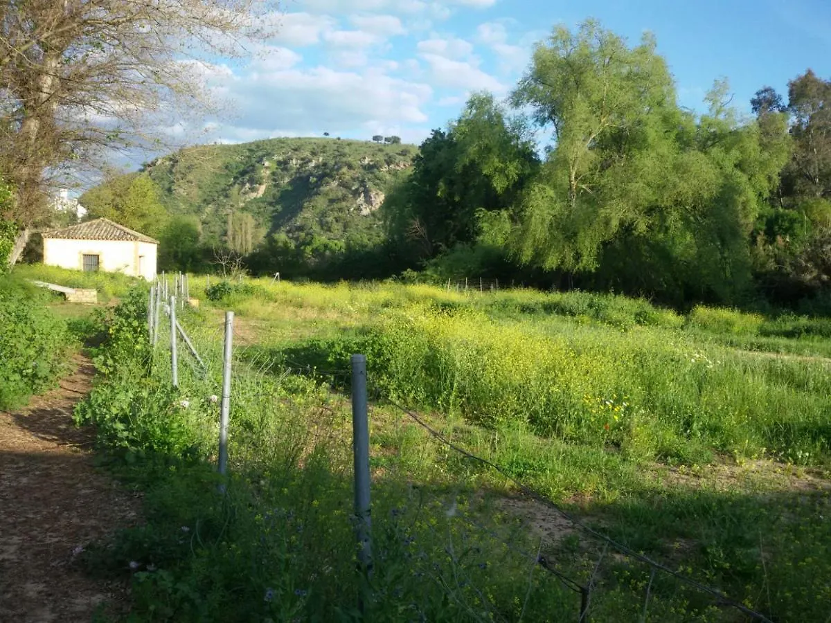 Los Palmeros Algodonales