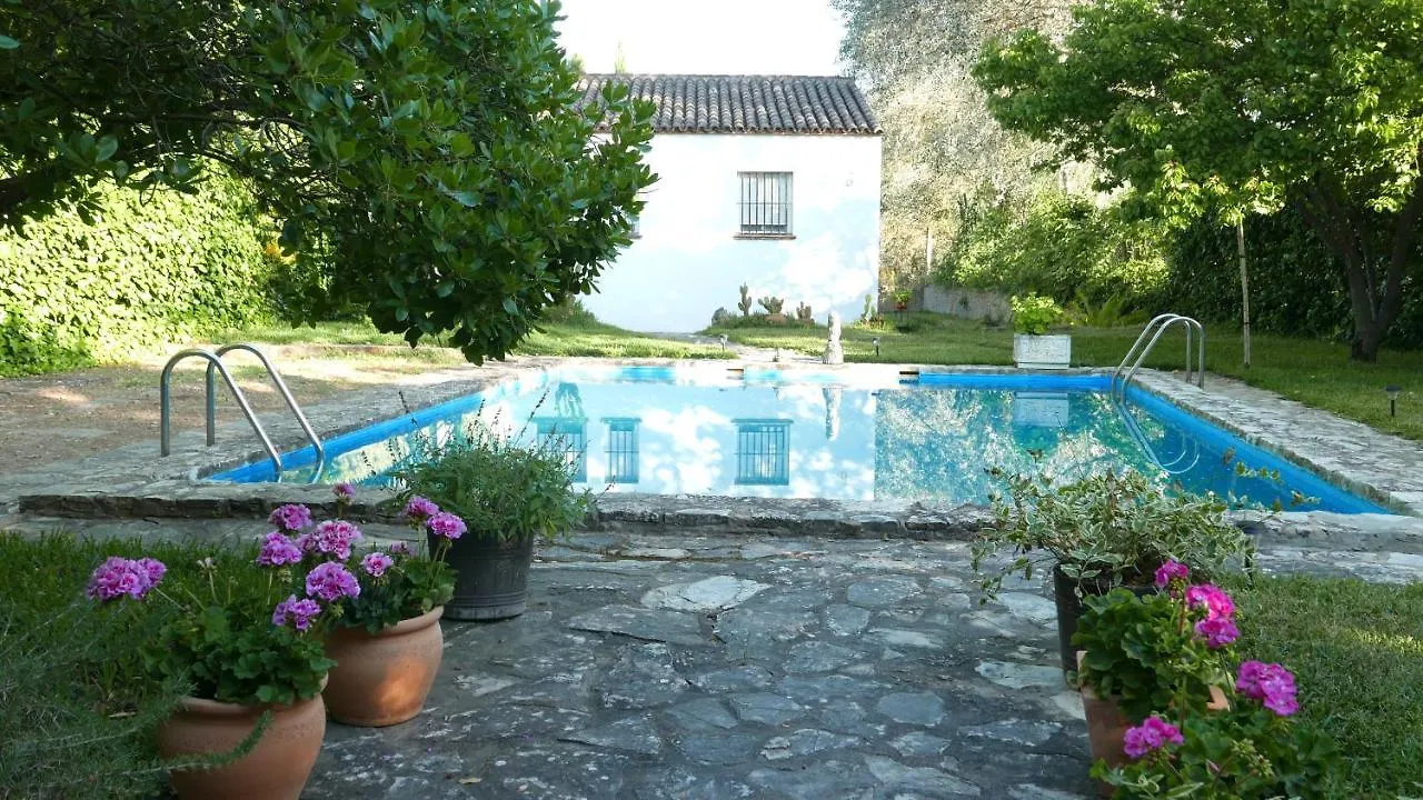 Holiday home Los Palmeros Algodonales